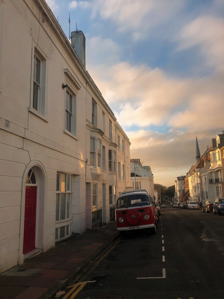 japanese-knotweed-brighton brighton